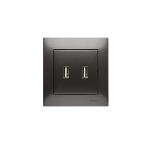 Uttag 2xUSB Antracit