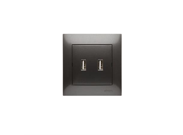 Uttag 2xUSB Antracit 