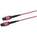 ECS MPO Trunk OM4 12F Cca 1xMPO12 60,0m Elite Base12 hona-hona Pol A E.V