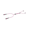 ECS MPO Trunk OM4 24F Cca 2xMPO12  5,0m Elite Base12 hane-hane Pol B E.V