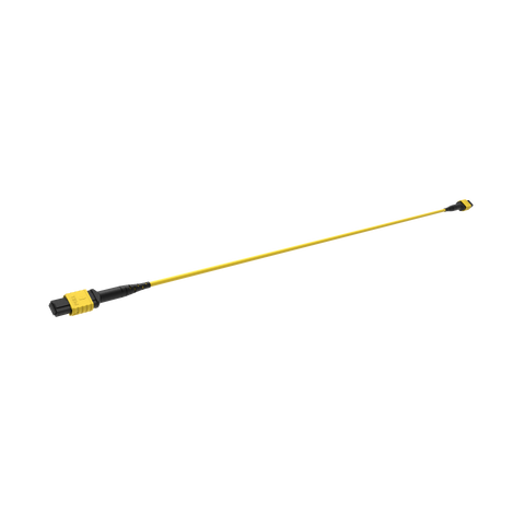 ECS MPO Trunk SM 12F Cca 1xMPO12 Elite Base12 hona-hona Typ A G657A2