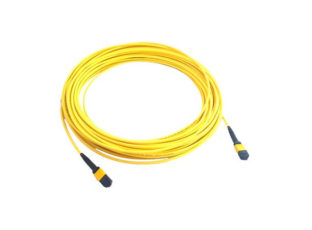 ECS MPO24 patch 24F SM G657A 3,0m MPO Elite hona-hona korsad Type A