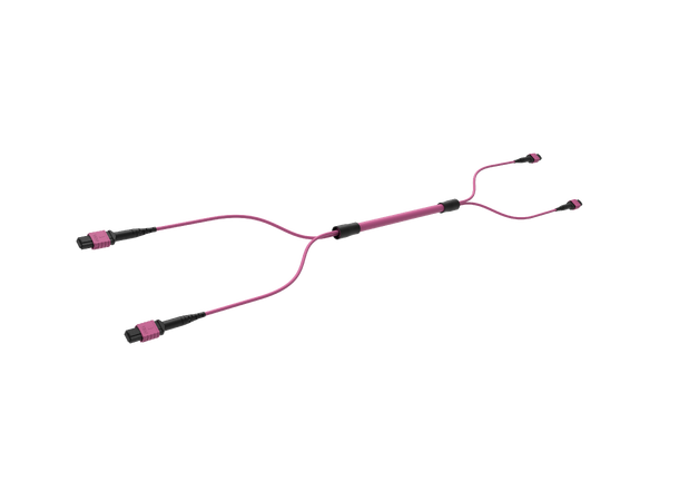 ECS MPO Trunk OM4 24F Cca 2xMPO12 Elite Base12 hona-hona Typ A E.V 