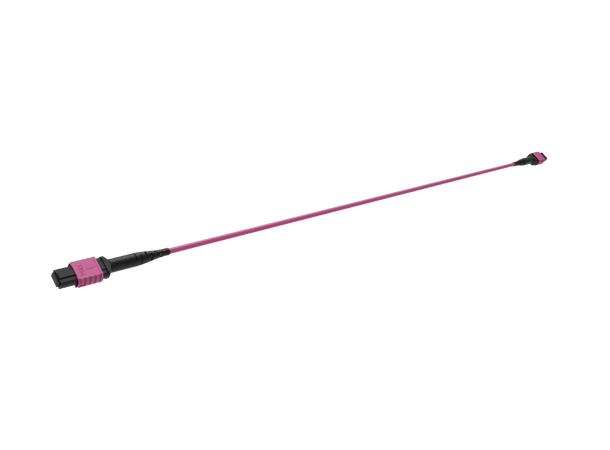 ECS MPO Trunk OM4 12F Cca 1xMPO12 Elite Base12 hane-hane Typ B E.V 