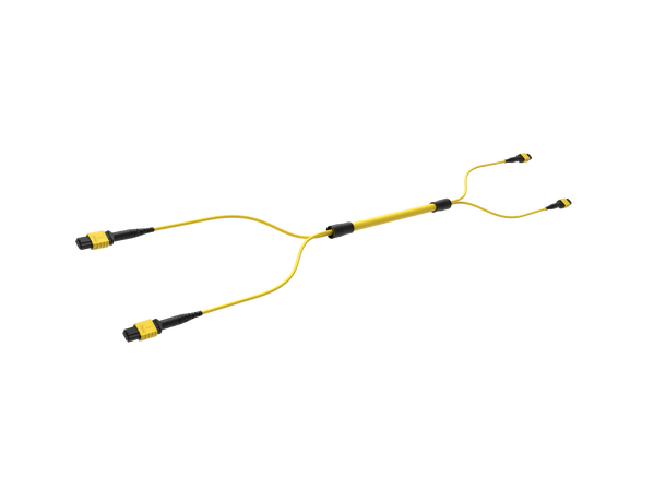 ECS MPO Trunk SM 24F Cca 2xMPO12 Elite Base12 hona-hane Pol A G657A2 