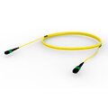 Propel Trunk 16F SM  MPO/M-M  ULL  11m 22" BO,cable clip LSZH Method B Enhance