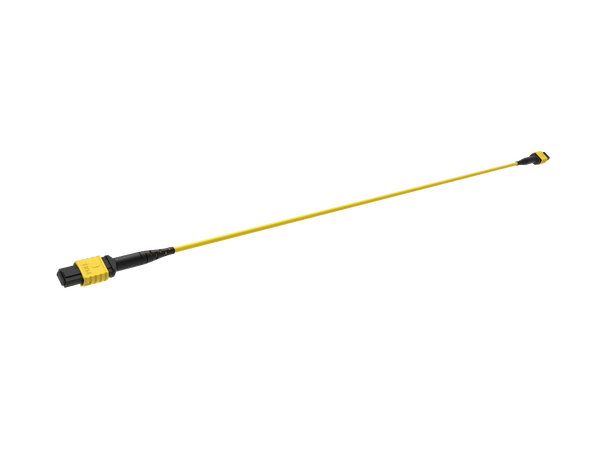 ECS MPO Trunk SM 12F Cca 1xMPO12 Elite Base12 hona-hona Typ B G657A2 