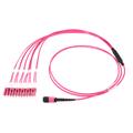 ECS Fanout MPO-LC 12x50/125 OM4  5,0m Type B